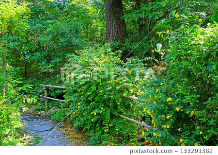 Hotel garden Hotel garden 133201382