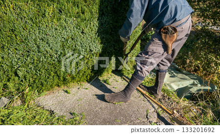 pruning, gents, male 133201692