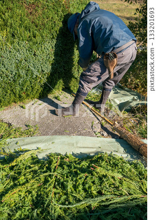 pruning, gents, male 133201693