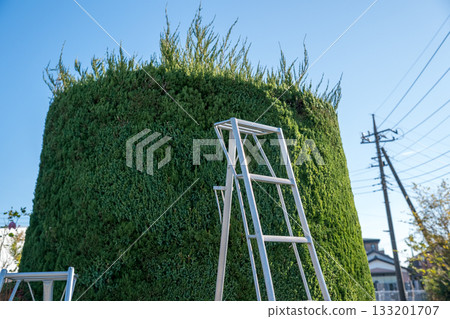 修剪 花園 院子 133201707