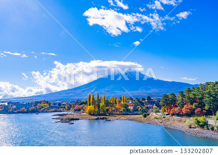 [Yamanashi Prefecture] Autumn leaves at Oike Park in Lake Kawaguchi and Mount Fuji 133202807