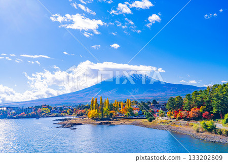 [Yamanashi Prefecture] Autumn leaves at Oike Park in Lake Kawaguchi and Mount Fuji 133202809