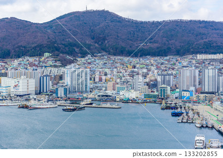 Cityscape of Busan Metropolitan City and Busan harbor in Busan, South Korea 133202855