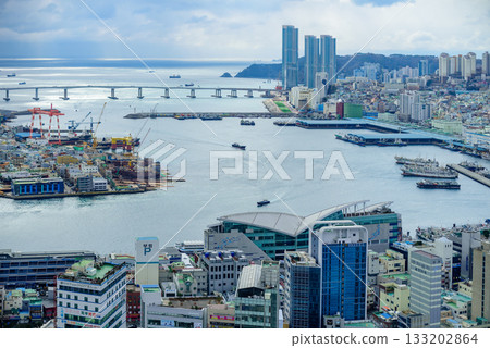 Cityscape of Busan Metropolitan City and Busan harbor in Busan, South Korea 133202864