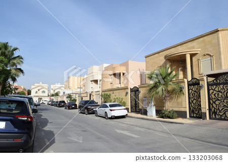 Residential area in Riyadh, Saudi Arabia 133203068