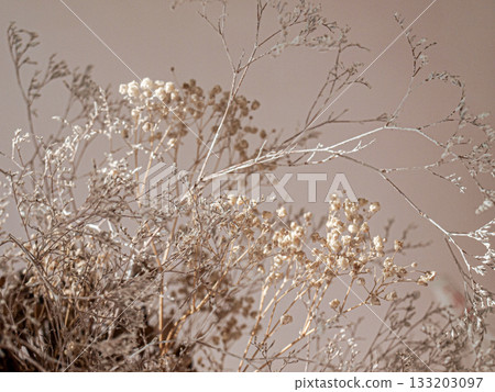 Branches of dried flowers in pink nude tones with soft light 133203097