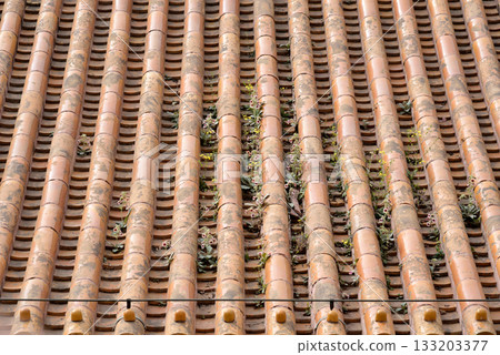 Rooftop tiles of Summer Palace, complex of imperial Chinese gardens and palaces in Beijing, China 133203377