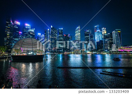Night view of Singapore 133203409