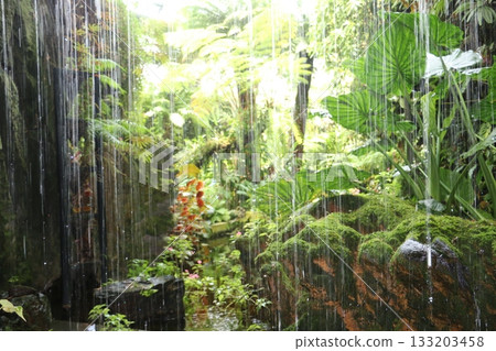 Cloud Forest creates a unique space Cloud Forest creates a unique space 133203458