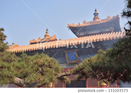 Ornate architecture of the Yonghe Temple of Tibetan Buddhism in Dongcheng District in Beijing, China 133203573