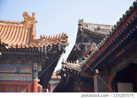 Ornate architecture of the Yonghe Temple of Tibetan Buddhism in Dongcheng District in Beijing, China 133203575