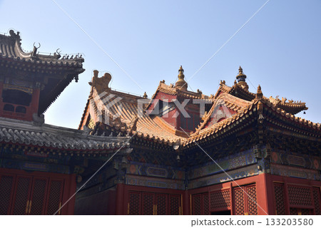 Ornate architecture of the Yonghe Temple of Tibetan Buddhism in Dongcheng District in Beijing, China 133203580