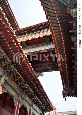 Ornate architecture of the Yonghe Temple of Tibetan Buddhism in Dongcheng District in Beijing, China 133203582