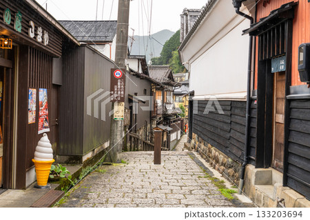 岐阜縣：上八幡和八幡町的古老街景 133203694