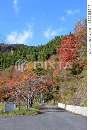Inamura Dam Lakeside Trailhead (Tosa Town, Kochi Prefecture) Inamura Dam Lakeside Trailhead (Tosa Town, Kochi Prefecture) 133203945