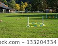 Various jumping barriers at an outdoor horse training area. A training area for horses with a green lawn. 133204334