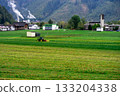 A tractor is engaged in harvesting on a small private agricultural field against the backdrop of the Alpine mountains in Austria 133204338