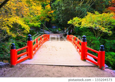 Autumn leaves at Momijidani Park in Miyajima, one of Japan's Three Most Viewed Places 133204573