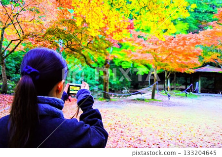 一位女士在宮島紅葉谷公園拍攝秋葉，這是日本三大名勝之一，照片為她的背影。 133204645