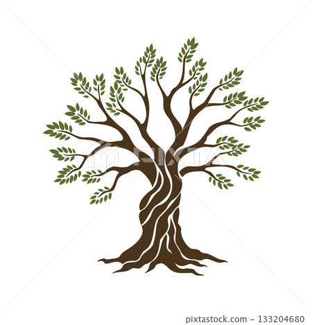 Olive trees with branches and leaves for design of packaging, label, logotype or banner. Natural organic stylized olive icon, premium quality sign. Vector illustration Olive trees with branches and leaves for design of packaging, label, logotype or banner. Natural organic stylized olive icon, premium quality sign. Vector illustration 133204680