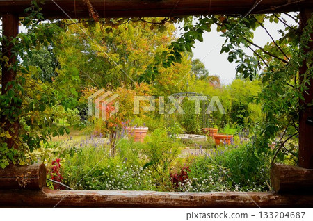 A garden with autumn leaves A garden with autumn leaves 133204687