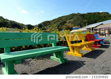 農場裡擺放著色彩繽紛的長椅 133204692