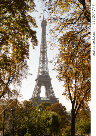Eiffel Tower Framed by Autumn Trees in Paris Scenic View of the Iconic Landmark Surrounded by Golden Foliage on a Bright Fall Day Eiffel Tower Framed by Autumn Trees in Paris Scenic View of the Iconic Landmark Surrounded by Golden Foliage on a Bright Fall Day 133204777