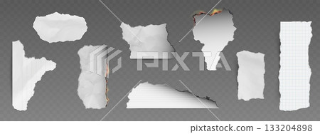 Paper with burnt and torn edges frame effect. 133204898