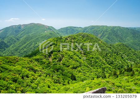 Fresh greenery on Mount Gozaisho, mountaintop scenery (Komono Town, Mie Prefecture) 133205079