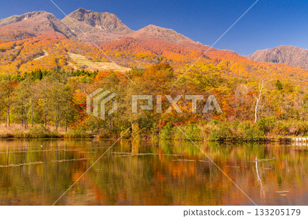 新潟縣：秋色最盛時的伊森池與妙高高原 133205179