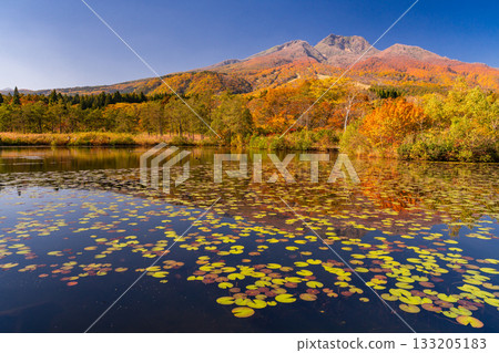 新潟縣：秋色最盛時的伊森池與妙高高原 133205183
