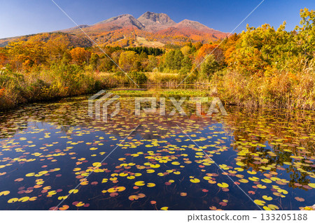 新潟縣：秋色最盛時的伊森池與妙高高原 133205188