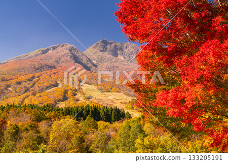 Niigata Prefecture: Imori Pond and Myoko Kogen at the peak of autumn foliage 133205191