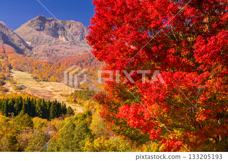 新潟縣：秋色最盛時的伊森池與妙高高原 133205193