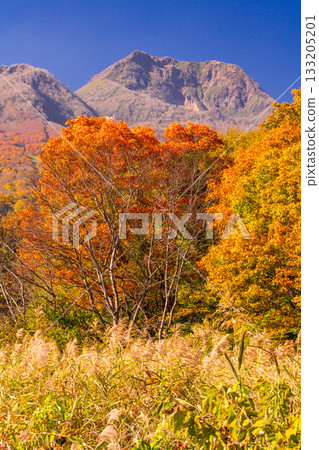 Niigata Prefecture: Imori Pond and Myoko Kogen at the peak of autumn foliage Niigata Prefecture: Imori Pond and Myoko Kogen at the peak of autumn foliage 133205201