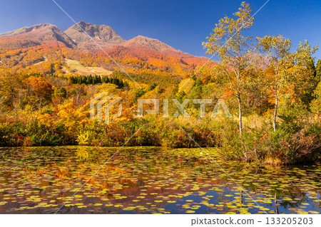 新潟縣：秋色最盛時的伊森池與妙高高原 133205203