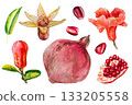 Pomegranate, hand-drawn watercolor illustration. Pomegranate fruits, pomegranate seeds, leaves, and flowers, hand-drawn in watercolor. 133205558