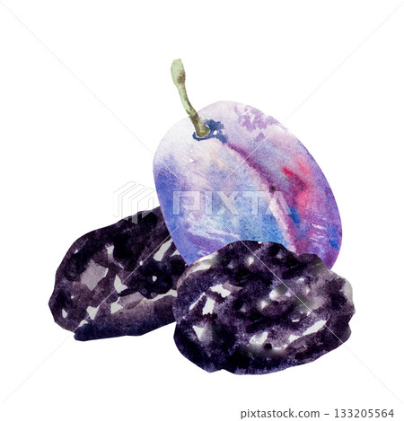Prunes, dried plum, watercolor illustration, hand drawing Prunes, dried plum, watercolor illustration, hand drawing 133205564