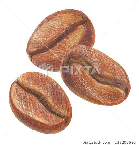 Hand drawn illustration with coffee beans for graphic design. Isolated colored pencil illustration on white background. Coffee collection. 133205686