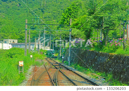 箱根繡球列車 133206203