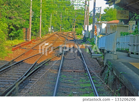 箱根繡球列車 箱根繡球列車 133206206