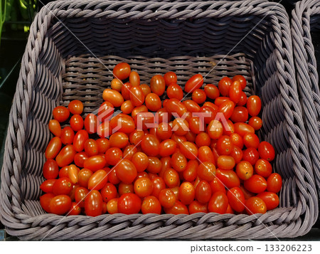 Fresh tomatoes in a basket, tomato harvest season concept, healthy vegetables. Fresh tomatoes in a basket, tomato harvest season concept, healthy vegetables. 133206223