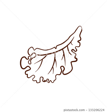A lettuce leaf, drawn in outline style. This simple, linear vector illustration is uncolored and isolated on a white background. Suitable for menu design, logos, packaging, culinary blogs, restaurants A lettuce leaf, drawn in outline style. This simple, linear vector illustration is uncolored and isolated on a white background. Suitable for menu design, logos, packaging, culinary blogs, restaurants 133206224