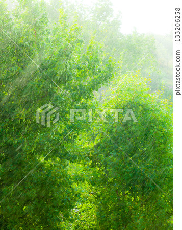 Rainy outside window green background texture. 133206258