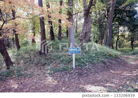 千葉縣龍閣寺墓群,第84號墓 千葉縣龍閣寺墓群,第84號墓 133206939