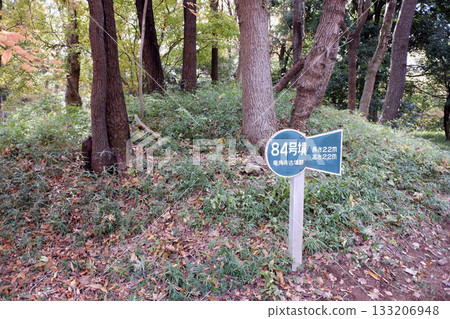 千葉縣龍閣寺墓群，第84號墓 133206948