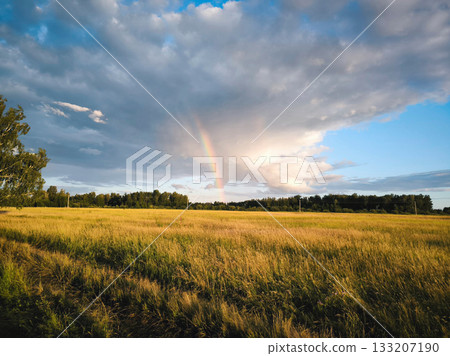 Rainbow Over Golden Field Colorful Rainbow Over Golden Field Colorful 133207190