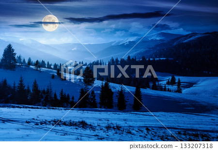 spruce forested hills of mountain ridge in winter at night. gorgeous nature scenery with snow covered hillside and meadows in full moon light. background for fake news or conspiracy concepts spruce forested hills of mountain ridge in winter at night. gorgeous nature scenery with snow covered hillside and meadows in full moon light. background for fake news or conspiracy concepts 133207318