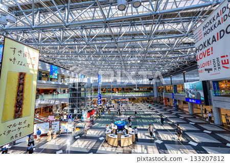 Hokkaido, Chitose City, New Chitose Airport Center Plaza 133207812