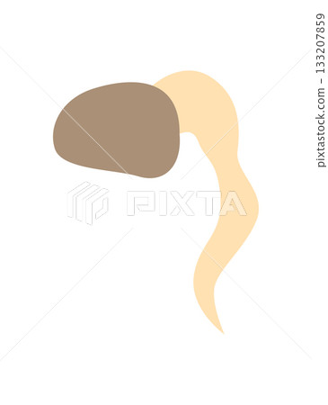 Carrot life cycle element. Carrot embryo. Fresh cartoon, young carrot. Healthy vegetable food. Vector illustration on white isolated background Carrot life cycle element. Carrot embryo. Fresh cartoon, young carrot. Healthy vegetable food. Vector illustration on white isolated background 133207859